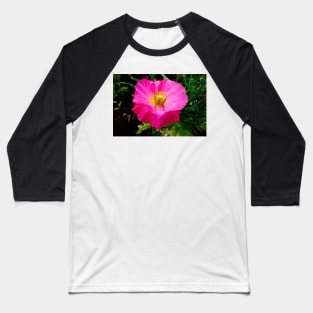 Winter Park Garden Study 5 Baseball T-Shirt